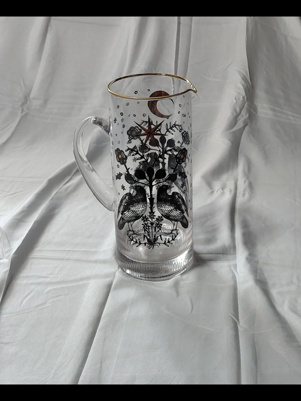 Tall Whimsygoth Celestial Witchy Crow Motif Glass Pitcher